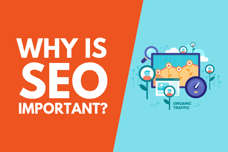 why SEO is important
