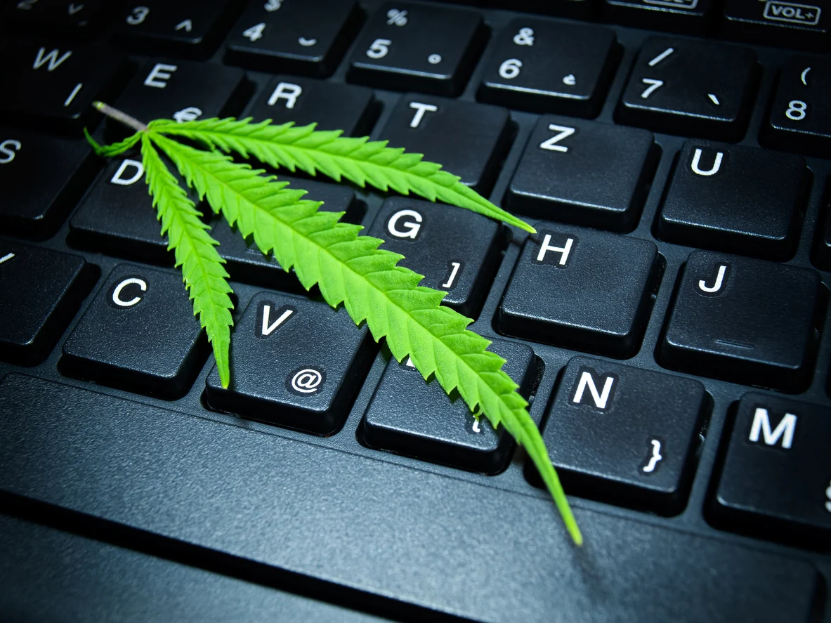 cannabis SEO