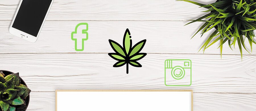 social media marketing for marijuana dispensary